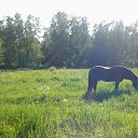 ���� Alena, �������, 30 ��� - ��������� 17 ������ 2016 � ������ ���� ����������