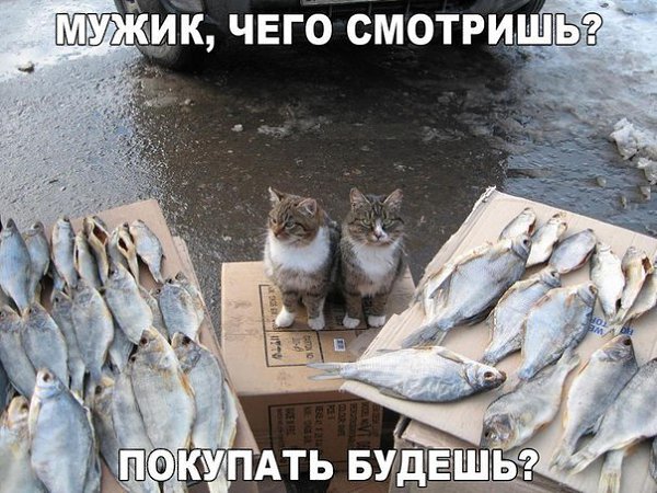    - 5  2016  20:16