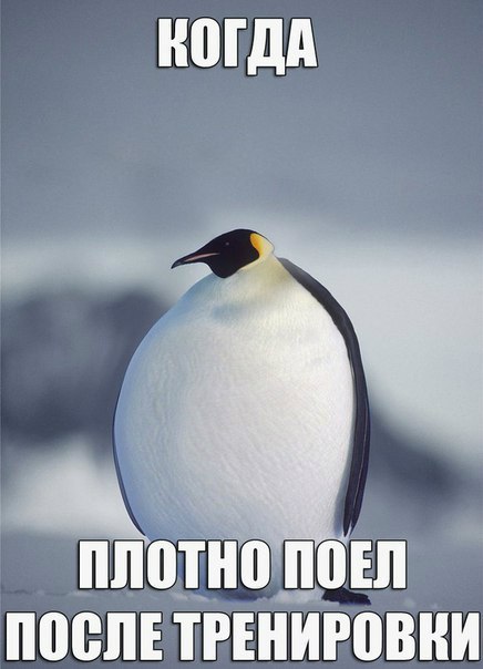  )))