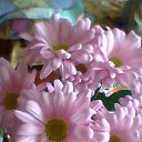 ���� ����, ������ - ��������� 24 ������ 2016