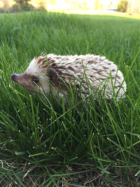 - |  -  . - 30  2016  22:00