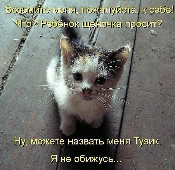 ��� ���� � ����� �� �� - 2 ������� 2015 � 07:01