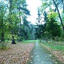 ���� ������, �����, 52 ���� - ��������� 6 ������� 2015 � ������ �������