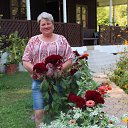 ���� �������, ���������������, 60 ��� - ��������� 2 ������� 2015 � ������ ���� ����������