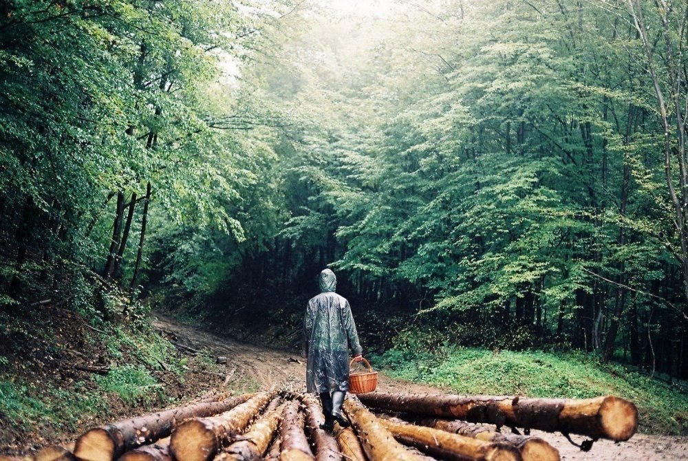 Что может быть романтичнее дождя? - 5