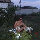 ���� ����, ���������, 46 ��� - ��������� 8 ����� 2016