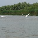 ���� ��������, ���������, 53 ���� - ��������� 6 ������� 2016 � ������ ���� ����������