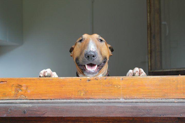   - =)