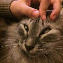 �� ������ ������,����� �����! 23 ��� ������������ �� �����. �� ������� ���������� ������