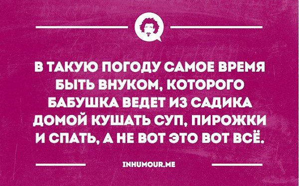 Включи нибудь другое. Интеллектуальный юмор для думающих людей. В такую погоду самое время. В такую погоду хочется. В такую погоду самое время быть внуком.