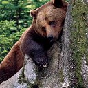 ���� ���������, �����������, 48 ��� - ��������� 22 ������ 2016 � ������ ����