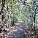 ���� ����, ������, 38 ��� - ��������� 11 ������ 2016 � ������ ������� �����