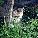 ���� �����, �����, 39 ��� - ��������� 6 ������ 2016 � ������ ������ ��������