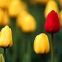 ���� �������, �������� - ��������� 7 ������ 2016 � ������ ���� ����������