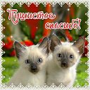 ���� ������, ������� - ��������� 31 ������� 2015 � ������ �������� ��������