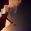 ���� �����, ��������� - ��������� 28 ������ 2016 � ������ ������ ��������