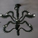 ���� �������, ������, 56 ��� - ��������� 6 ������� 2016 � ������ ������.�