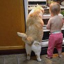 �������������....!!!!!!!!!!!!!!!! �� ������� ���� ����������