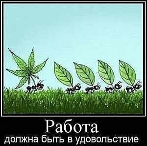   - 30  2015  19:02