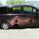 ���� ���������, �����������, 64 ���� - ��������� 8 ������ 2015 � ������ ����λ