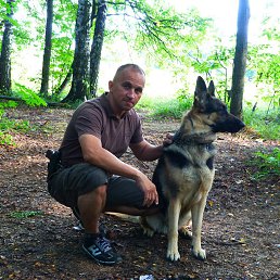 �����, �������������, 55 ���