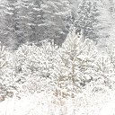 ���� �����, ������, 55 ��� - ��������� 4 ����� 2016 � ������ ���� ����������