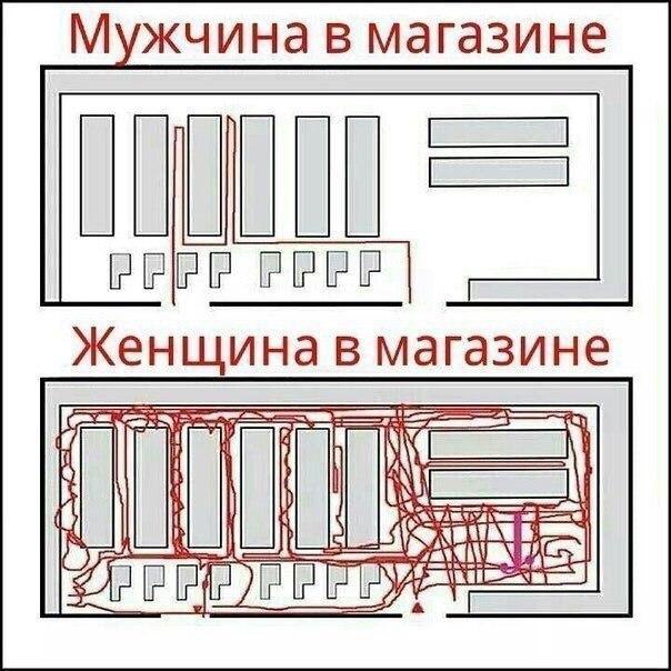   - 5  2015  15:15