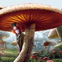   ))  !!!, , 70  -  19  2016    