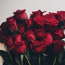 ���� ����, ������� - ��������� 12 ��� 2016 � ������ ���� ����������