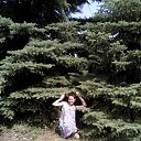 ���� ���������, ������ - ��������� 6 ������� 2016 � ������ ���� ����������