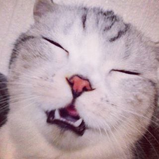  -     :3 - 3