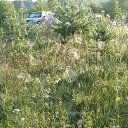 ���� ������, �����, 52 ���� - ��������� 31 ������� 2016 � ������ ���� ����������