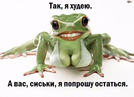   - 19  2016  22:09