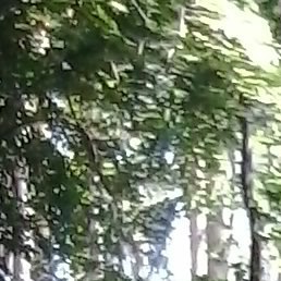 �������, �������, 53 ����