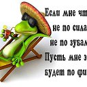  , , 38  -  21  2016   Ż