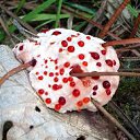 ���� Eric, ����, 61 ��� - ��������� 18 ������ 2016 � ������ ������ ��������