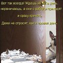 ���� �����, �����, 46 ��� - ��������� 1 ������ 2016 � ������ ������ ��������