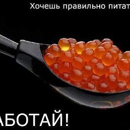 ���� ����, ��������� - ��������� 8 ������ 2016