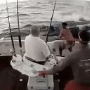 ���� ������, ������, 67 ��� - ��������� 8 ������� 2016 � ������ ������