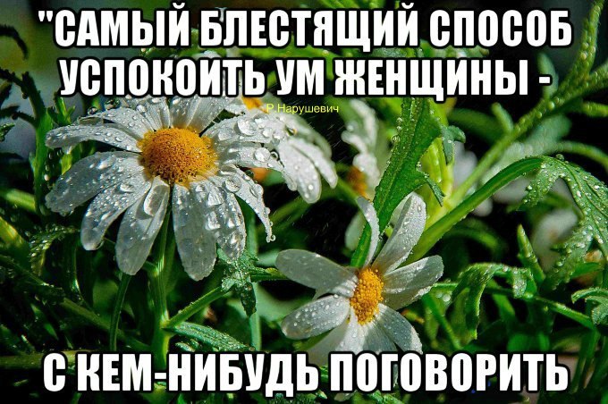   <a href=
