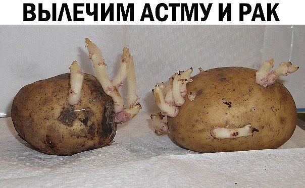 ,   . 1:          ...