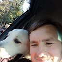 ���� ������, ������, 51 ��� - ��������� 20 ������� 2016 � ������ ���� ����������