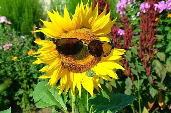  -   ... ........................................  