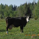 ��������� �� ��������! �� ������� ��������.�