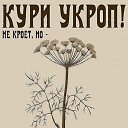 ���� ��������� �, �����-���������, 26 ��� - ��������� 10 ������� 2016 � ������ ���� ����������