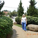 ���� �������, �����, 53 ���� - ��������� 3 ������� 2016 � ������ ���� ����������