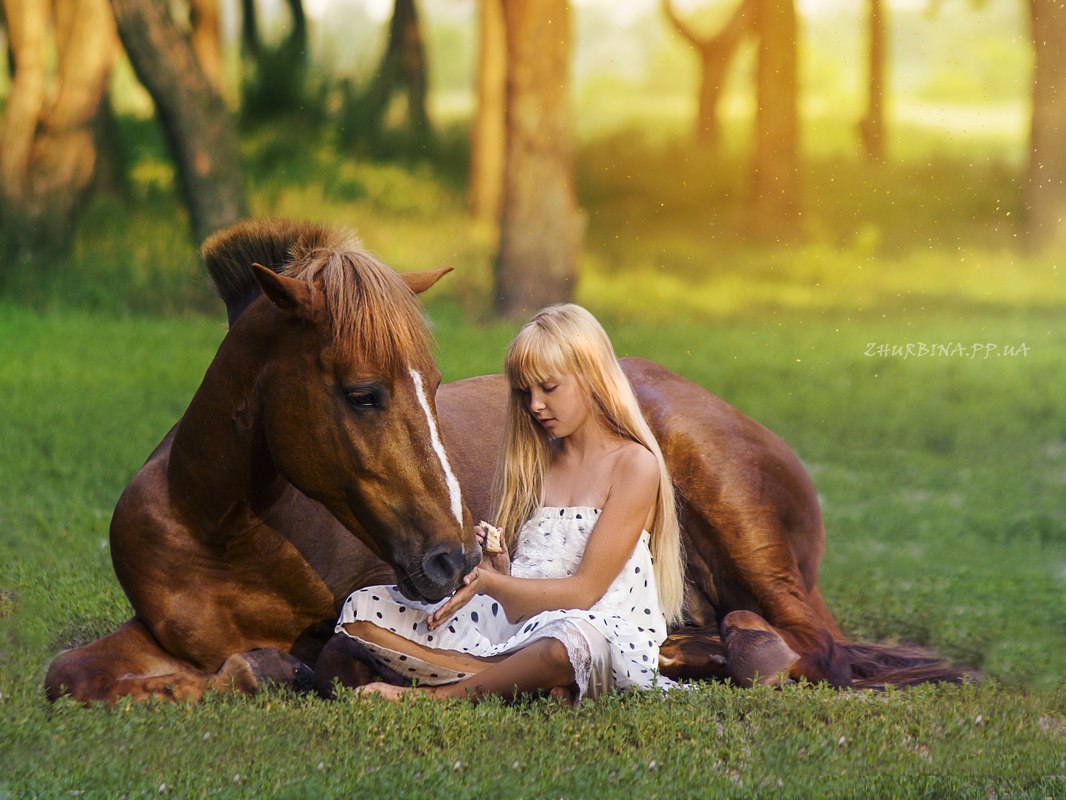 Дизайн"Под крышей дома..." - 27 мая 2016 в 16:41