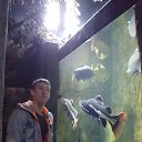  Aleksandr, , 39  -  29  2016