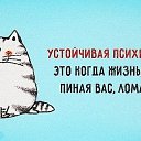 ���� ������, ���, 50 ��� - ��������� 31 ����� 2016 � ������ ������ ��������