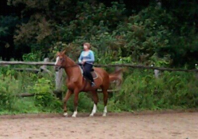 Alena - 11 ����� 2016 � 19:20